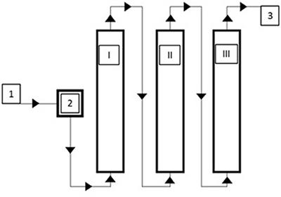 Granulated Bog Iron Ores as Sorbents in Passive (Bio)Remediation Systems for Arsenic Removal